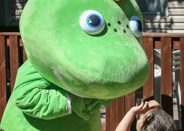 3 Etoiles - Piscine - Ccafeff *