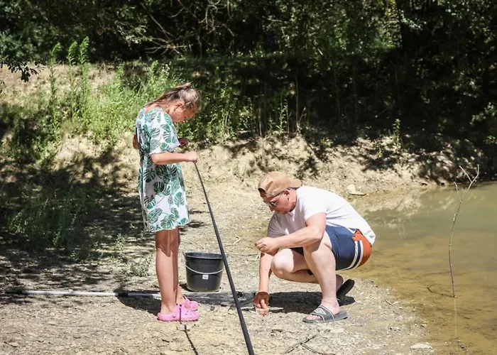 Zecamping 3 Etoiles Chiens Acceptes Salle Fitness Piscine Couverte Saint-Julien-des-Landes
