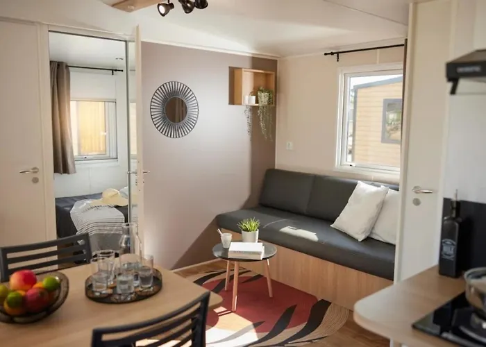 3 Etoiles - Piscine - Ccafeff Camping *